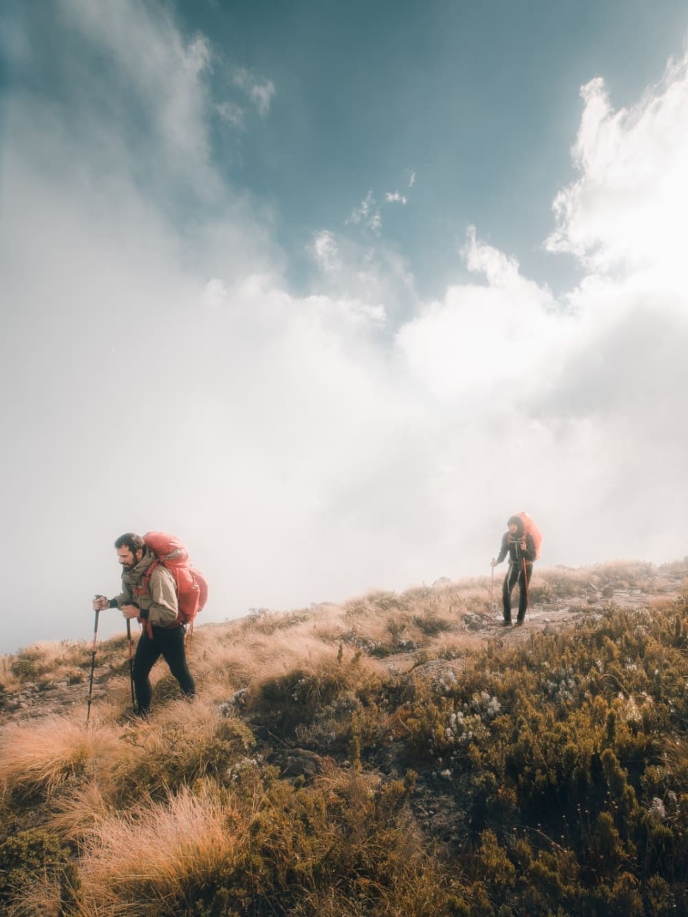 Serrra Fina Trekking