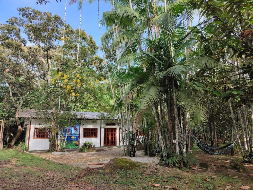Accommodation pico da neblina trip
