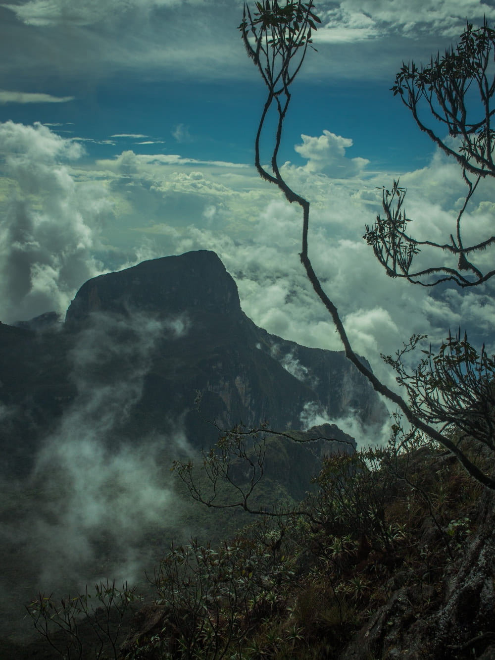 Peak at pico da neblina expedition