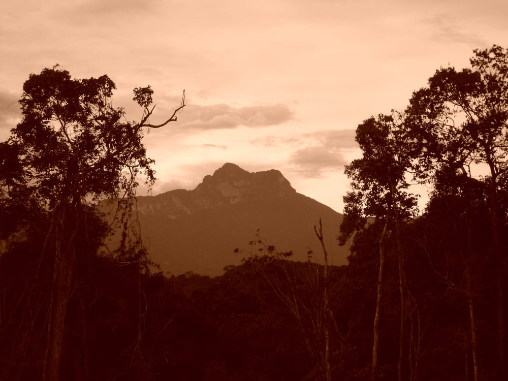 Pico da Neblina adventure