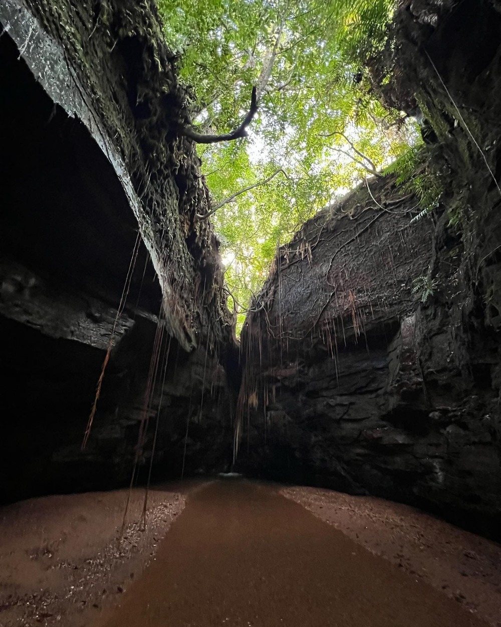 Voyage et visite du parc de Jalapão 4 jours