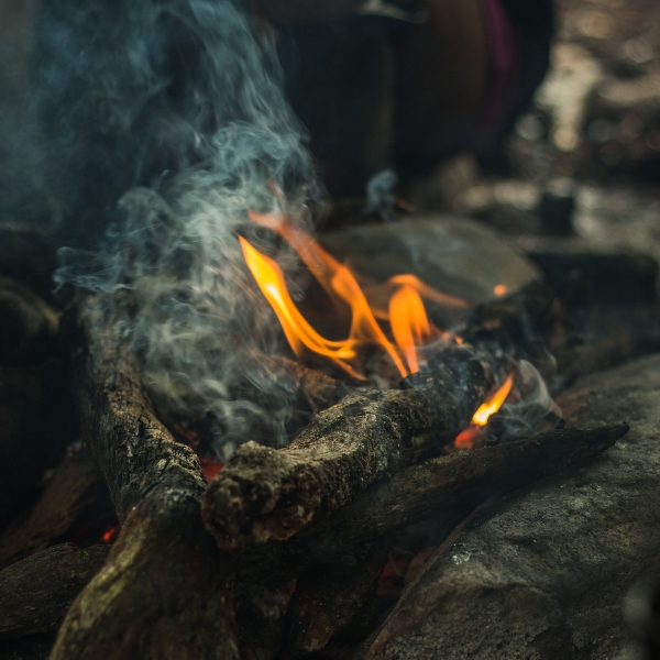 Fire at night in rainforest