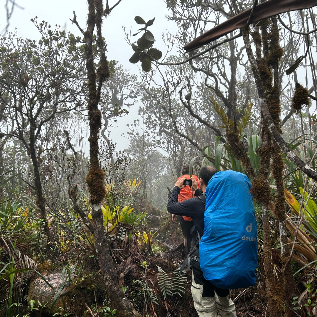Hike at pico da neblina expedition