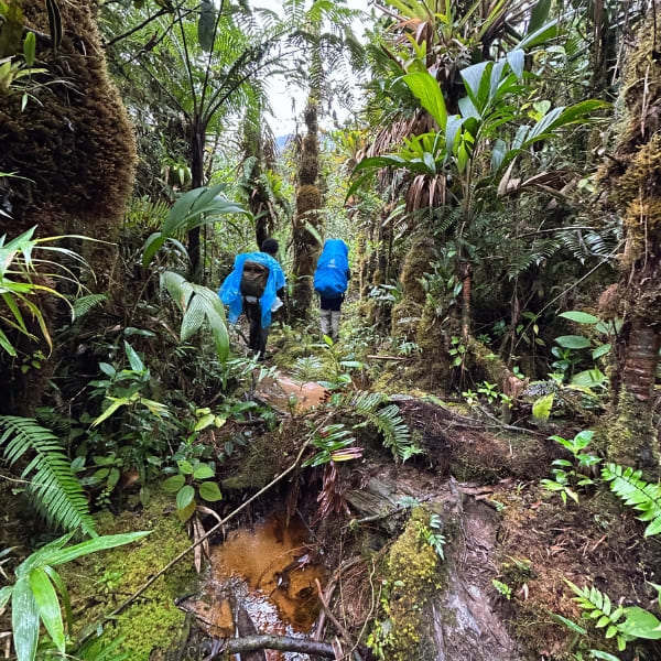 Intense hike at pico da neblina expedition