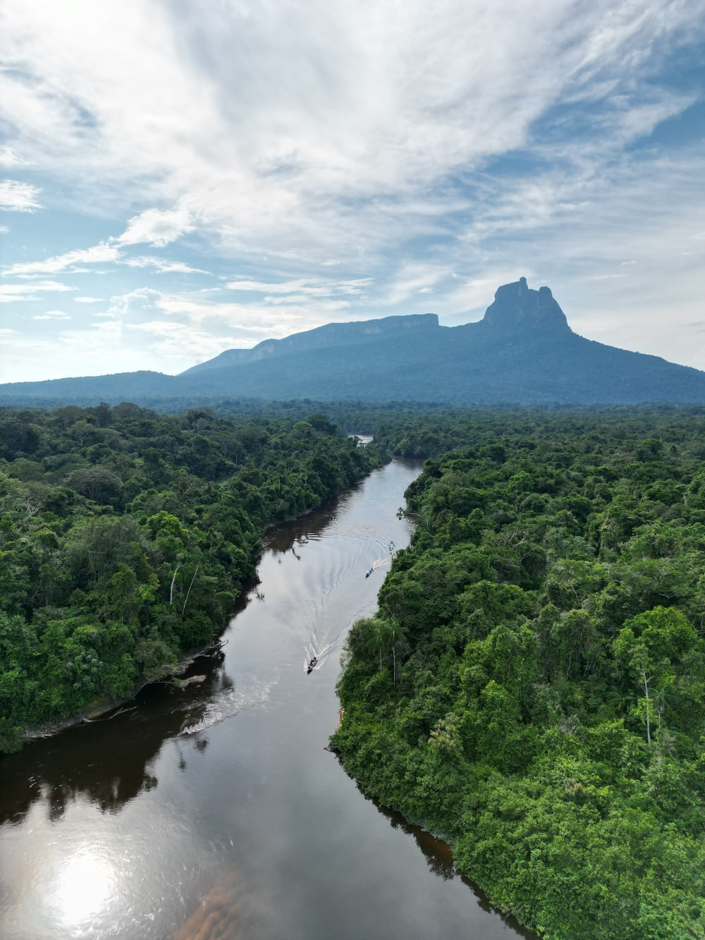 Pico da neblina park expedition