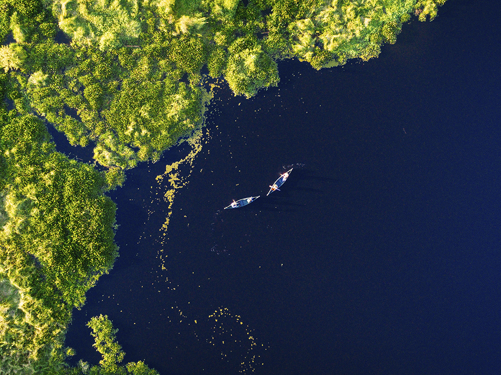 Luxury Jaguar Safari in the Pantanal