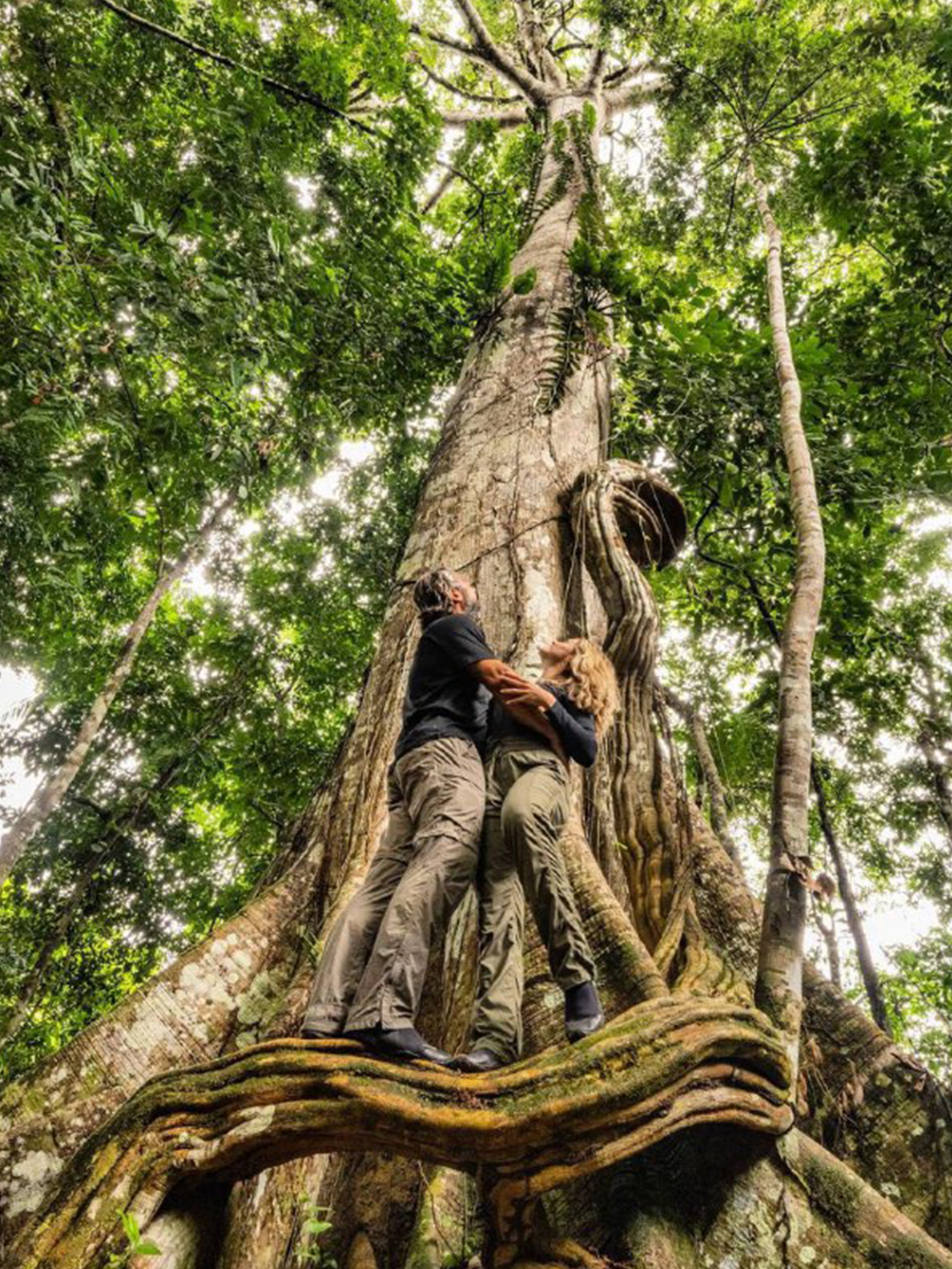 Amazon Luxury Lodge Brazil