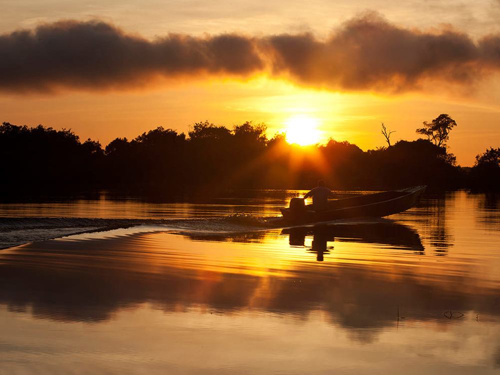 Sunset Amazon Rainforest Brazil