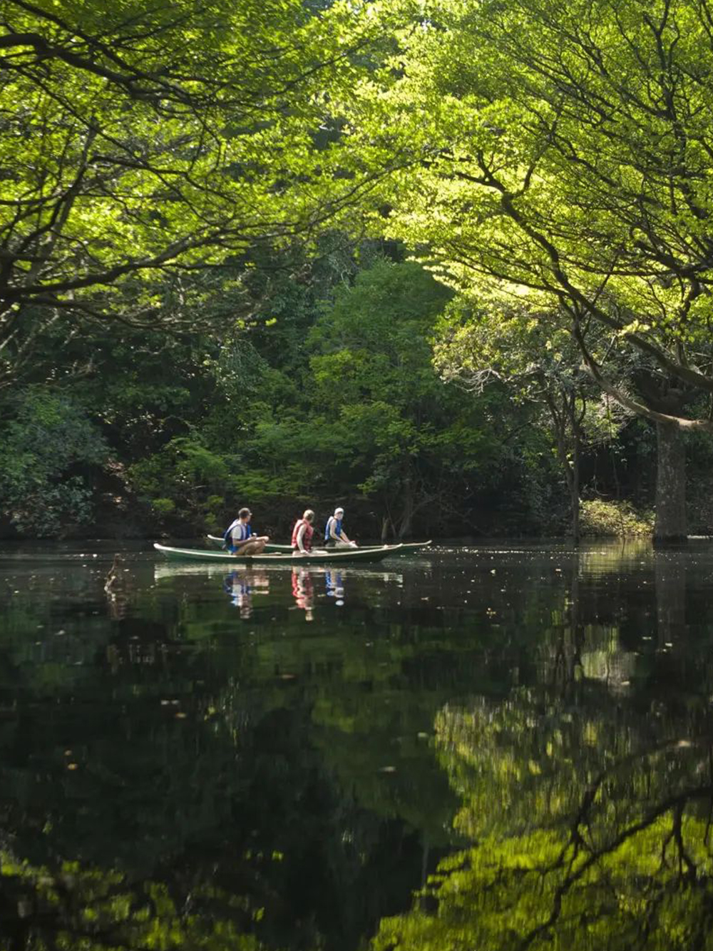 Canoagem Cabocla Amazon Brazil