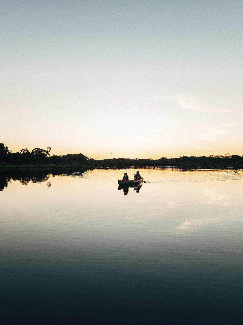 Luxury Jaguar Safari in the Pantanal