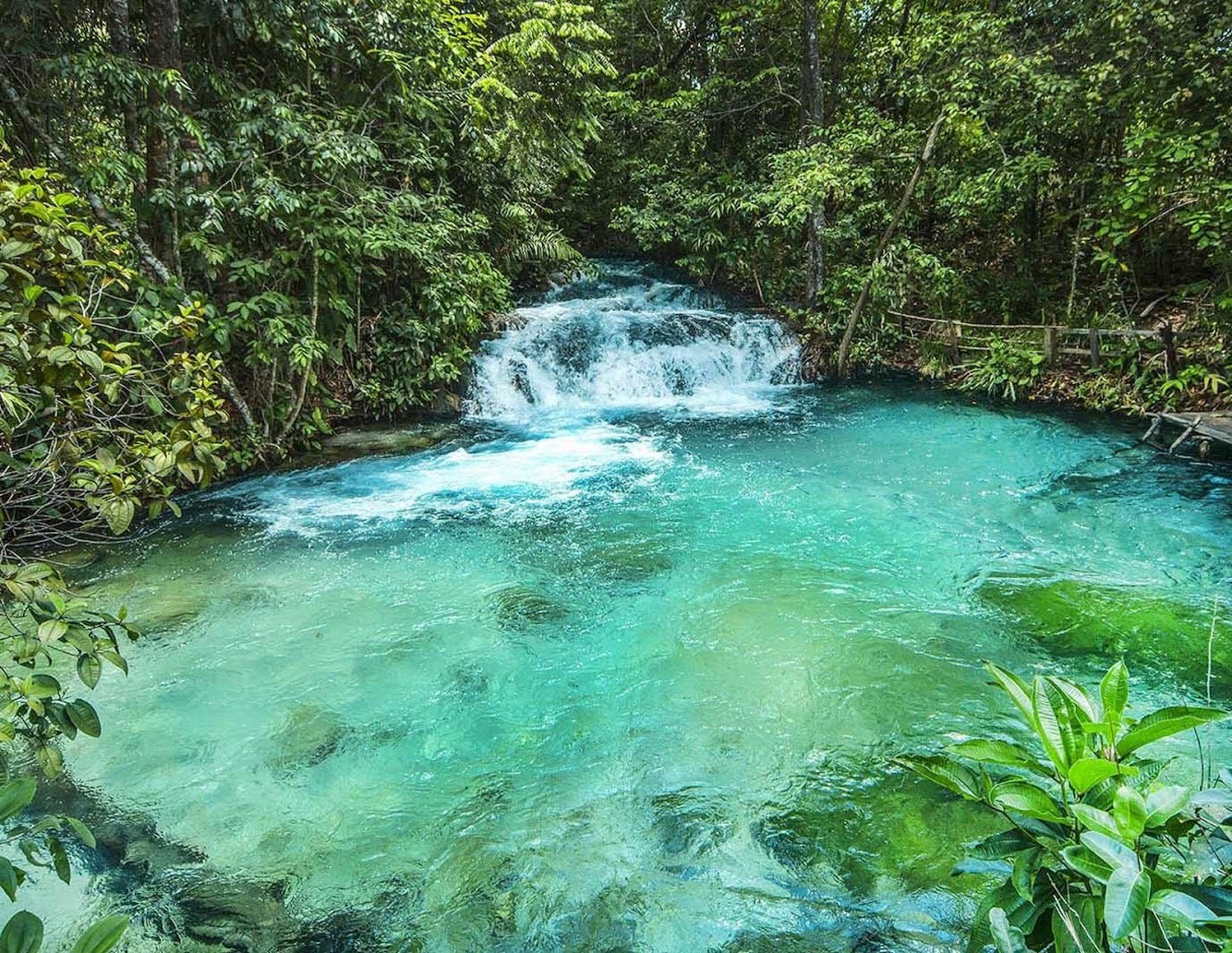 Fervedouro do Buritizinho - Parc d'État de Jalapão