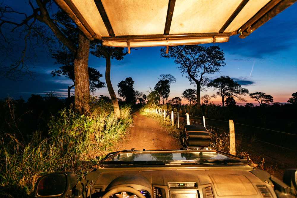 Luxury Jaguar Safari in the Pantanal 