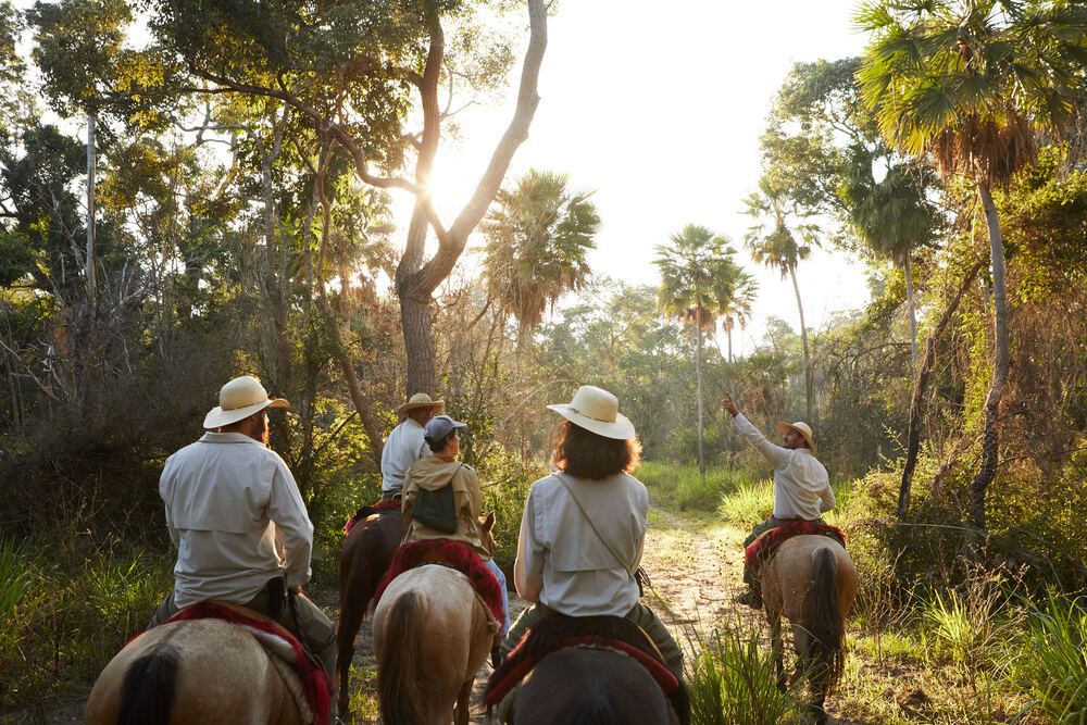 Horseback riding Pantanal