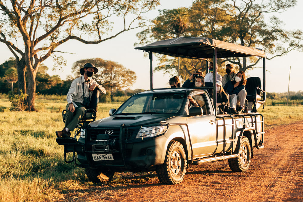 Safari Pantanal
