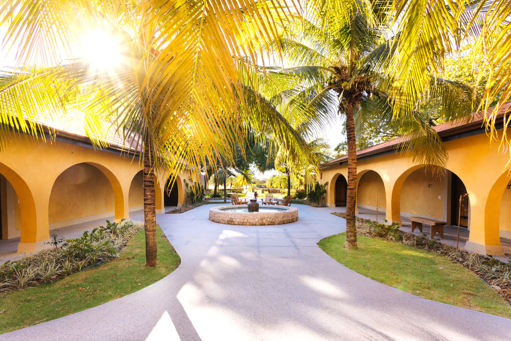 Luxury Jaguar Safari in the Pantanal