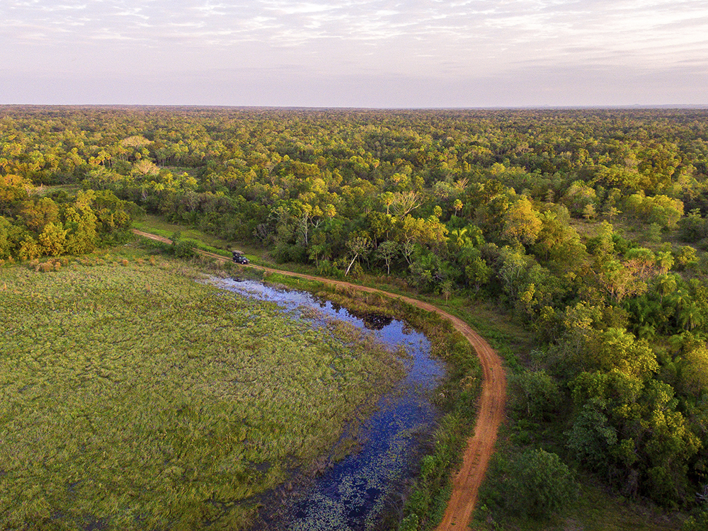 Pantanal Casa Caiman Best Pantanal Jaguar Safari Wildlife Tour