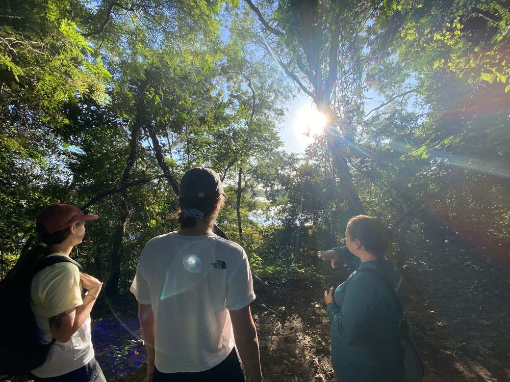 Hike in the south Pantanal