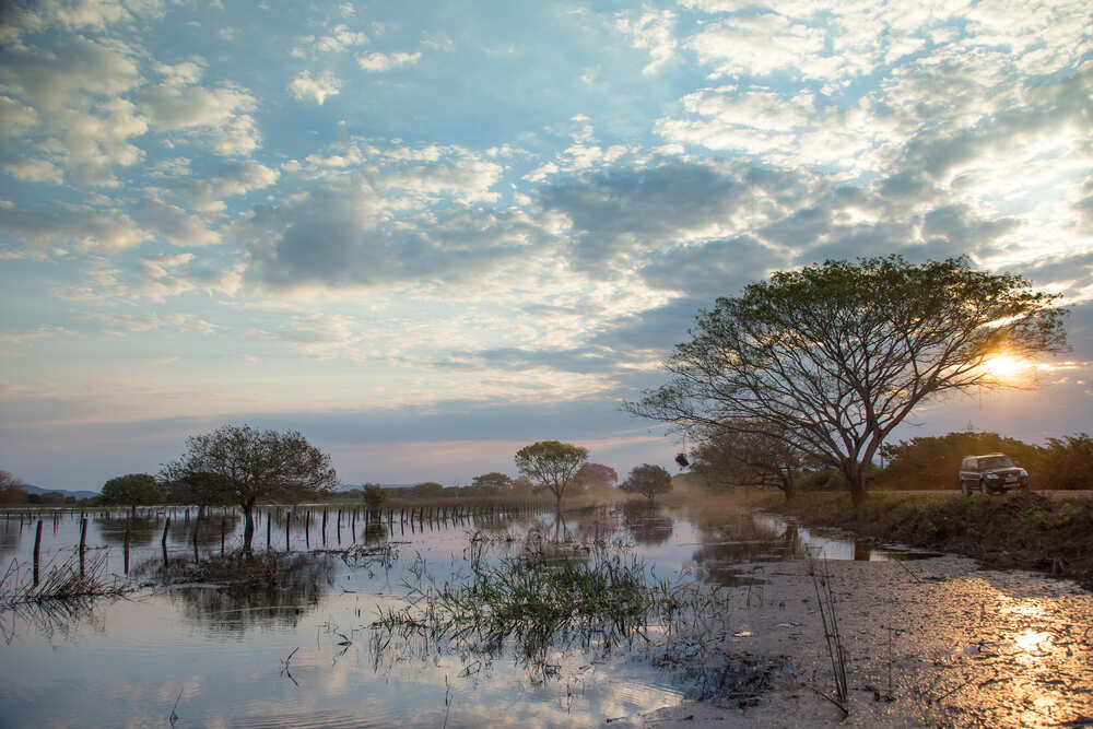 Pantanal Wildlife Trip from Campo Grande