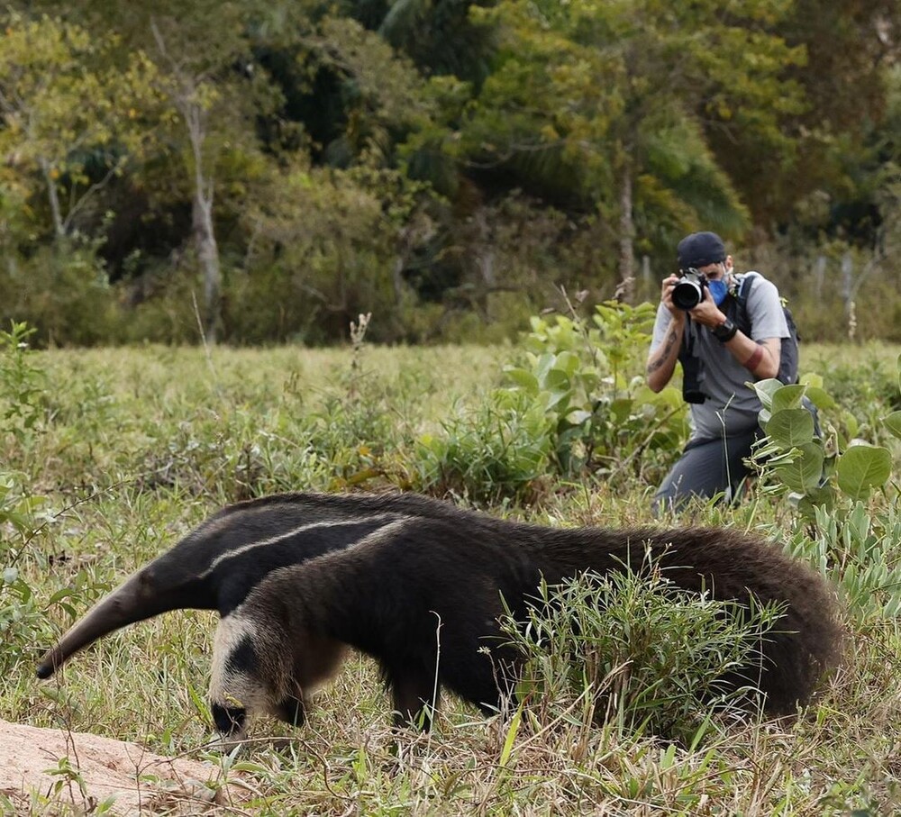 Biodiversity north Pantanal Brazil
