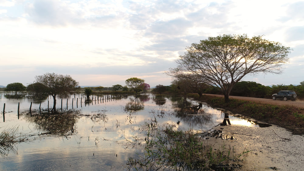 Flooded and wet in Brazil 