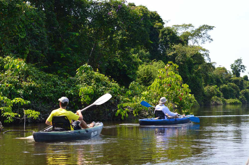 Kayak excursion