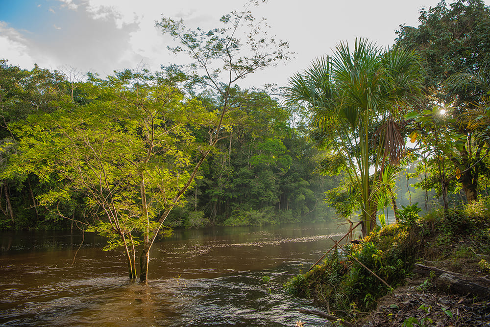 3-day Amazon Jungle Adventure in Brazil