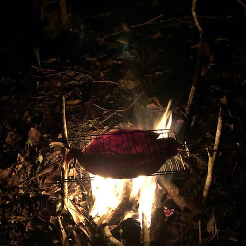 Wild dinner with grilled fish