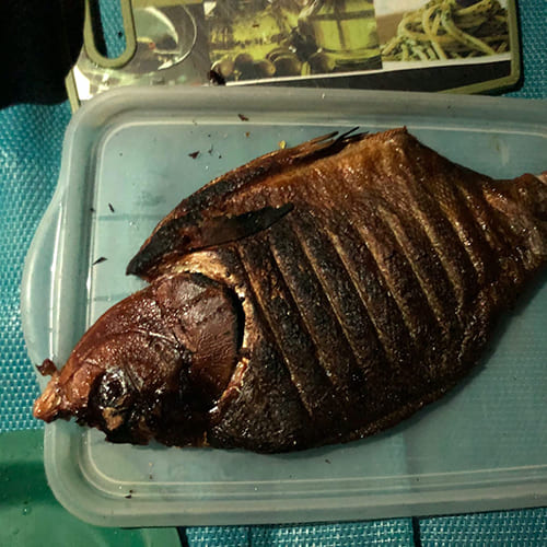 Wild dinner with grilled fish