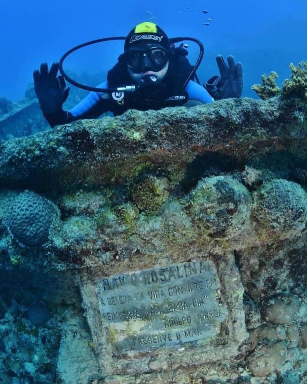 Liveboard Diving Abrolhos Brazil