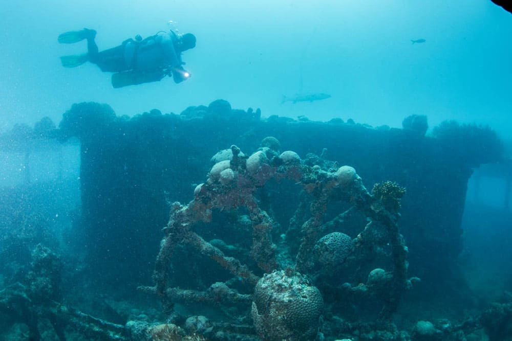 Liveboard Diving Abrolhos Brazil