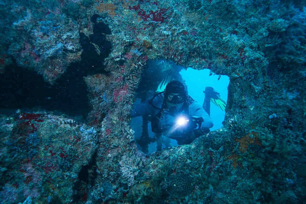 Diving Liveboard Abrolhos Brazil