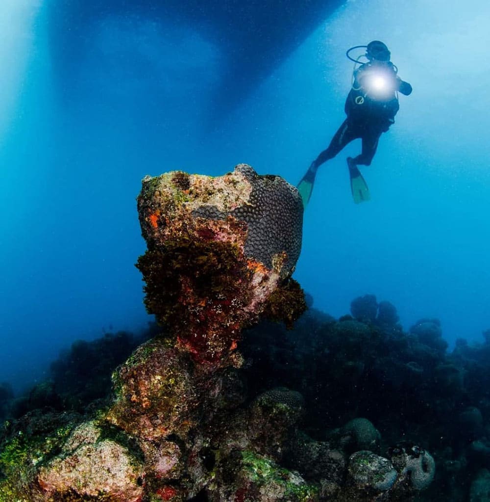 Liveboard Diving Abrolhos Brazil