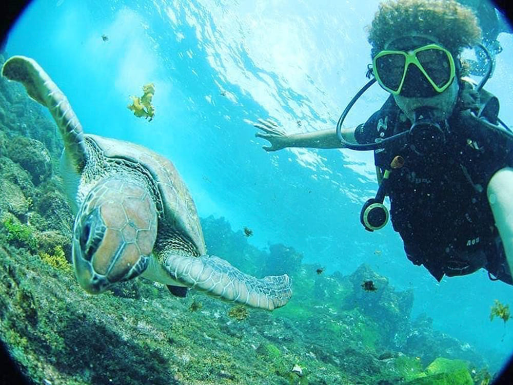 Diving Liveboard Abrolhos Brazil