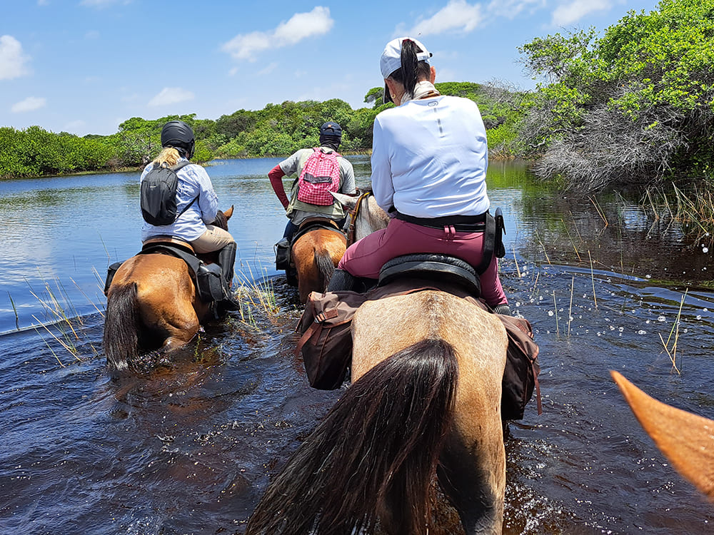 Horse riding in the rivers of the Lençóis Maranhenses region