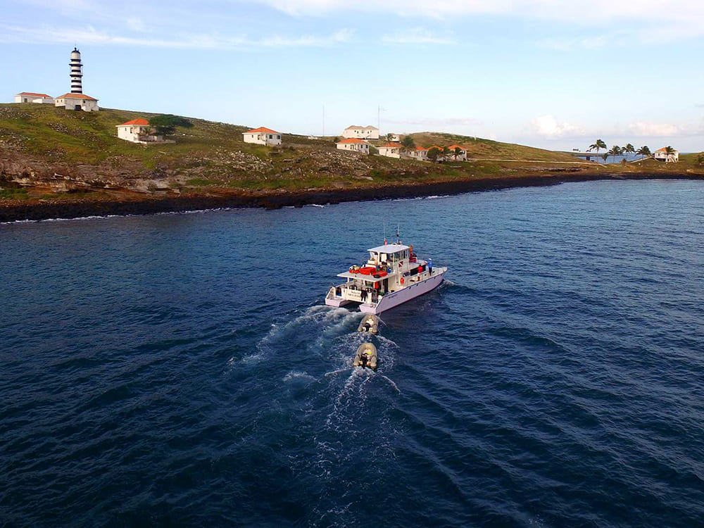Liveboard Diving Abrolhos Brazil
