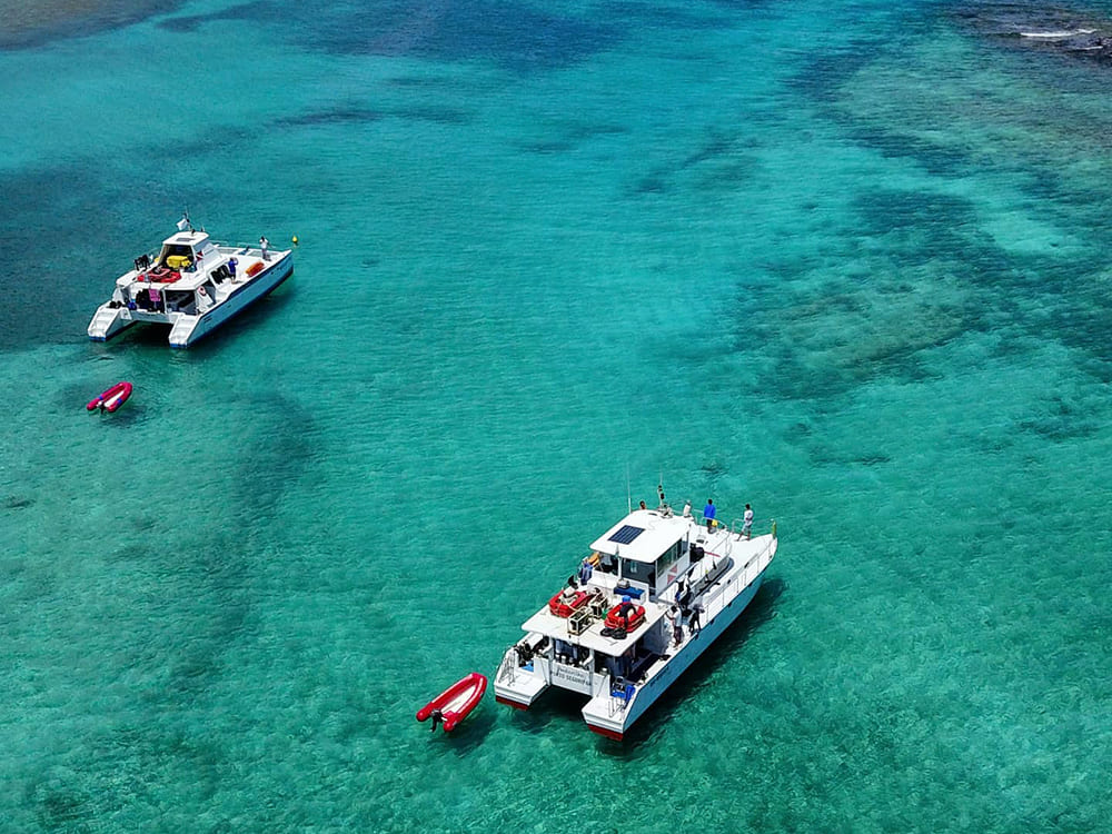 Diving Liveboard Abrolhos Brazil