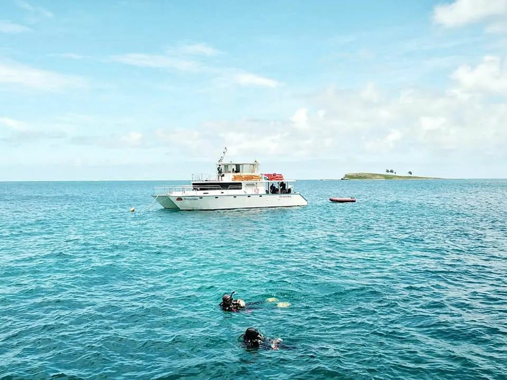 Liveboard Diving Abrolhos Brazil