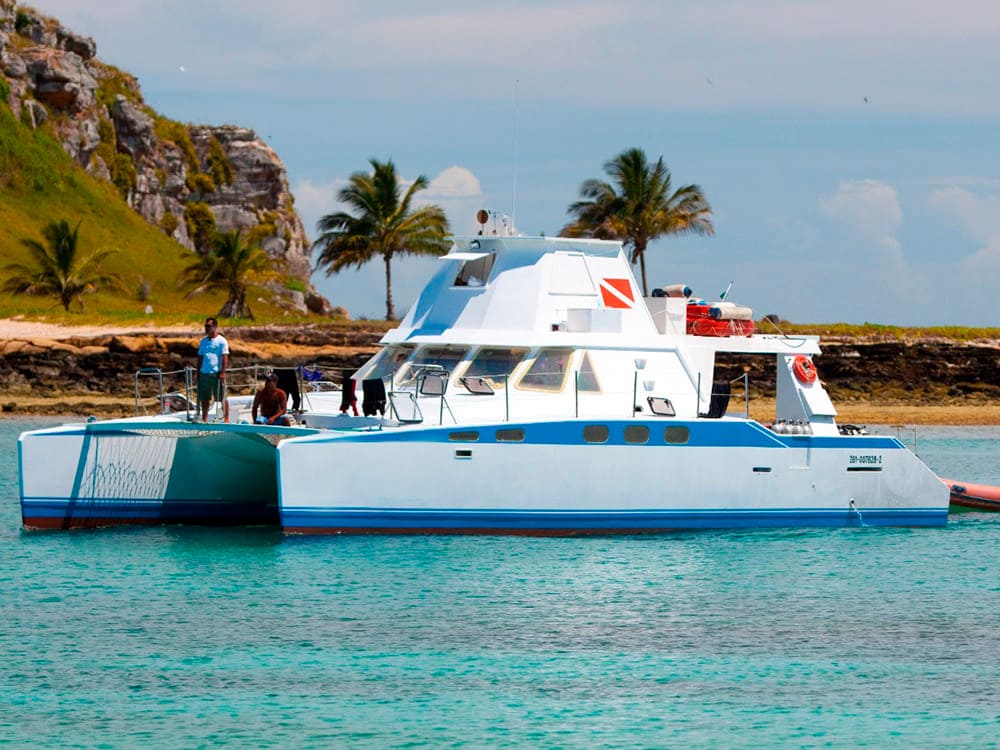 Liveboard Diving Abrolhos Brazil