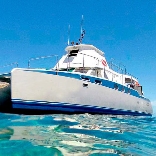 Liveboard Diving Abrolhos Brazil