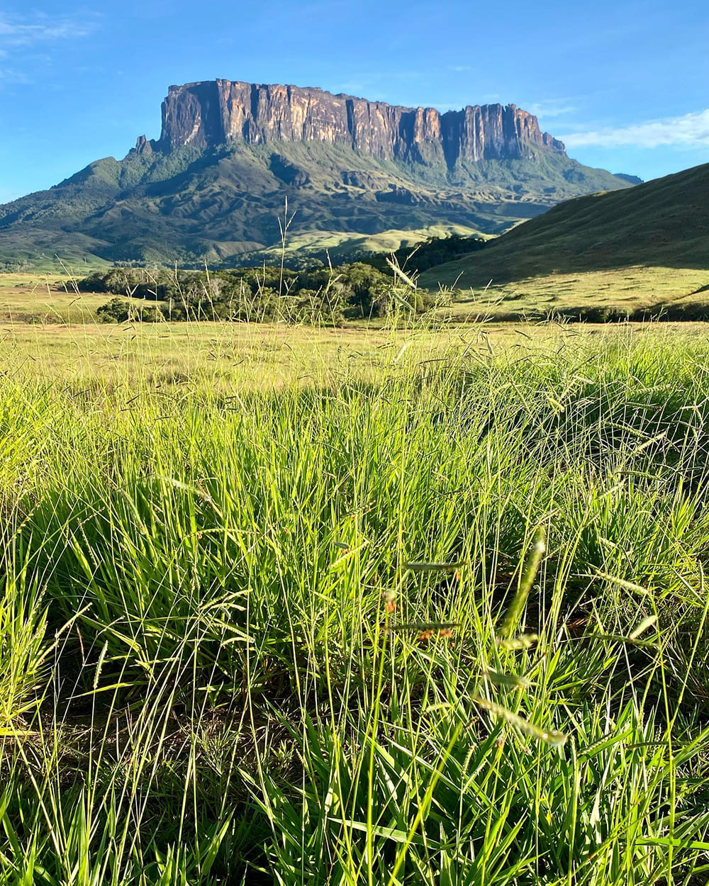 Mount Roraima Trekking