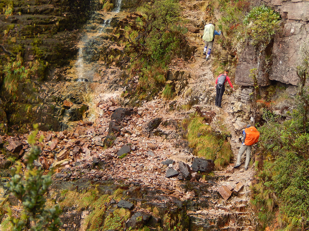 Mount Roraima Hike