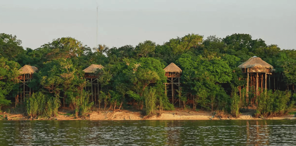 Amazon Jungle Lodge Experience