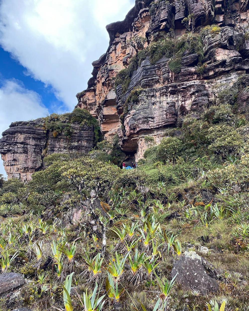 Mountain trekking