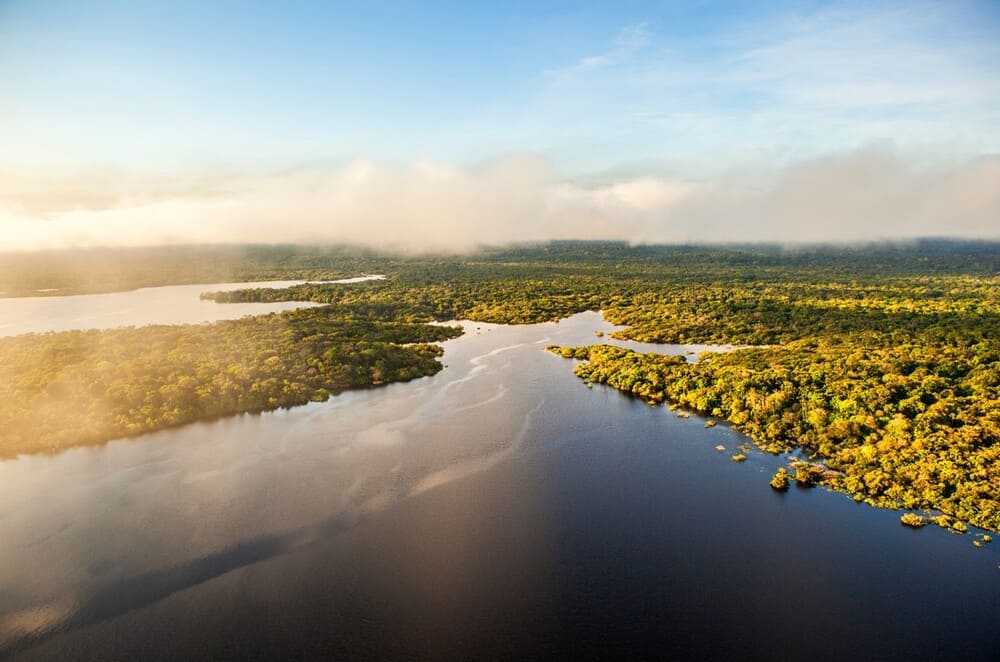 Amazon Brazil