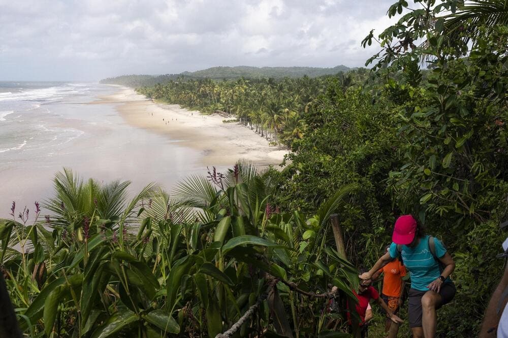 Cycling Tour Bahia Cocoa Route in Brazil