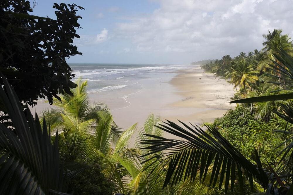 Cycling Tour Bahia Cocoa Route in Brazil