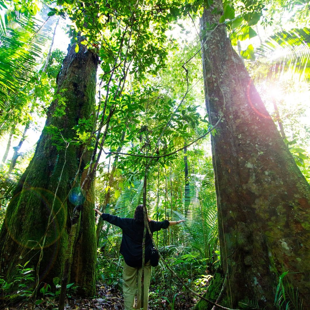Amazon wildlife