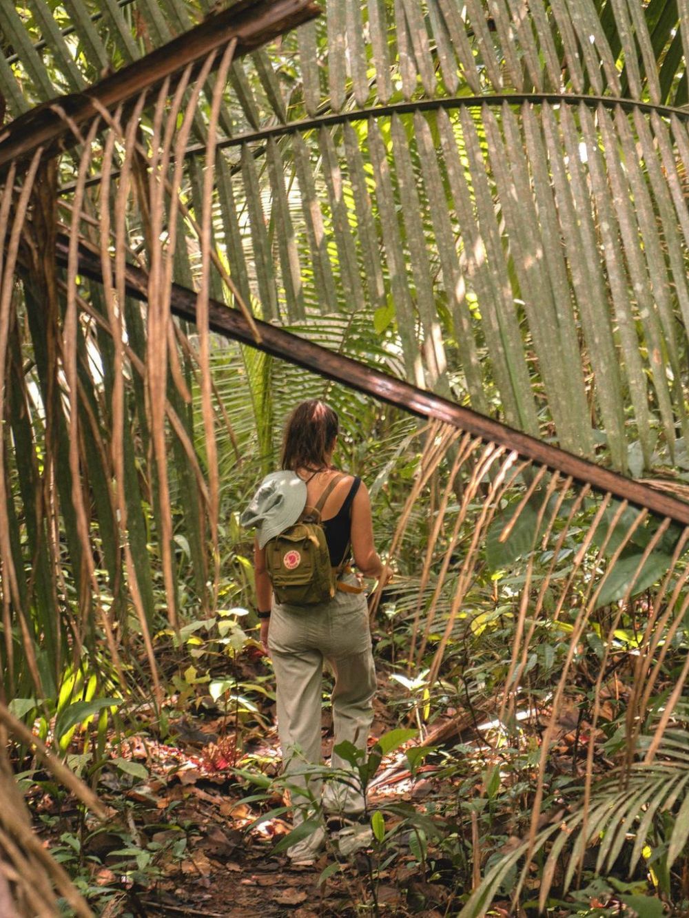 Amazon Rainforest