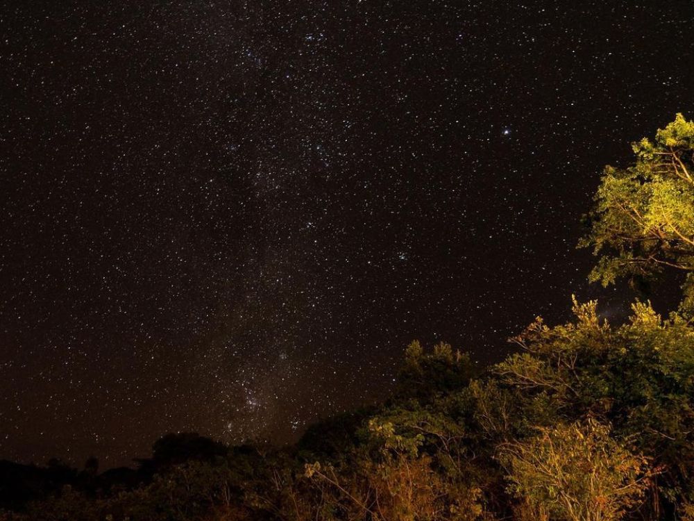 Amazon rainforest sky