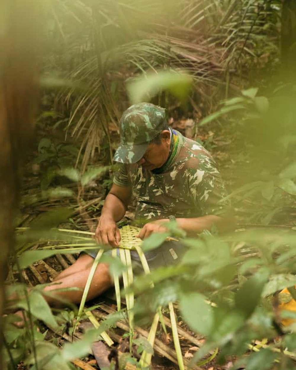 Amazon rainforest